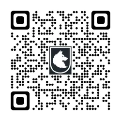 Ducati Zestaw naprawczy główki ramy Ducati GW22-1039