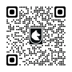 Uszczelniacze zawieszenia 43x54x11 - komplet 10-1000